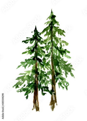 Two isolated watercolor fir trees