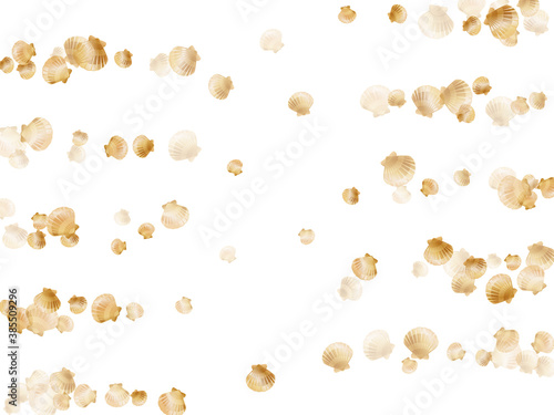 Gold chic seashells vector illustration, marine mollusks shells