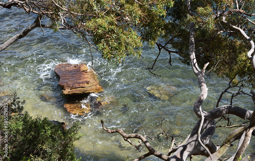 Photography brown erosion rock in water, look down from bush