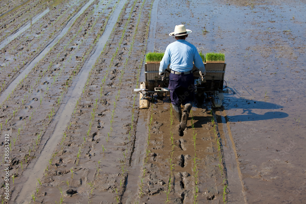 Obraz premium 田植機を使って作業をする人