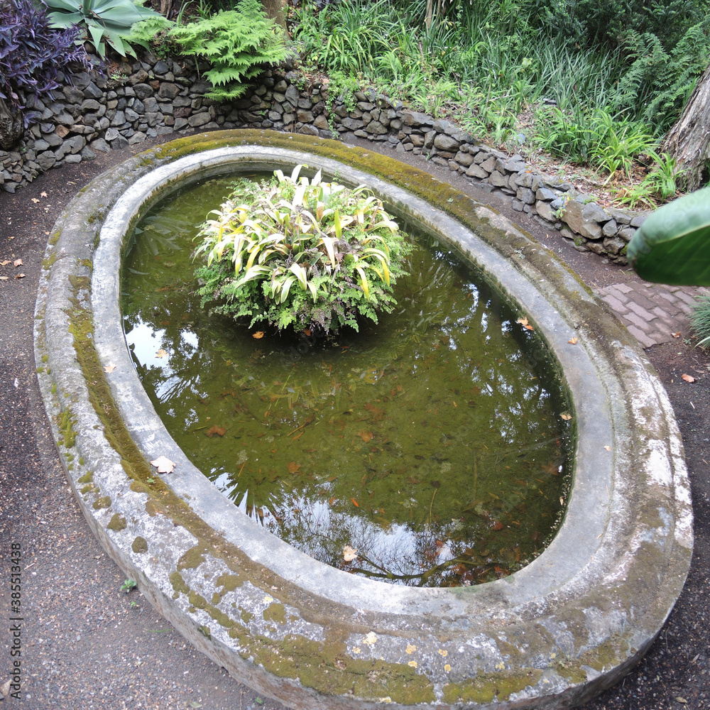 ovaler alter Gartenteich Stock Photo Adobe Stock