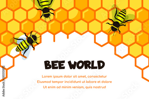 Working bees on honeycomb filled with honey
