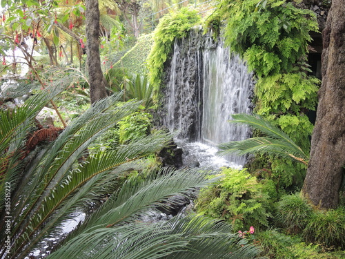 Monte PalaceTropical Garden  Funchal  Madeira
