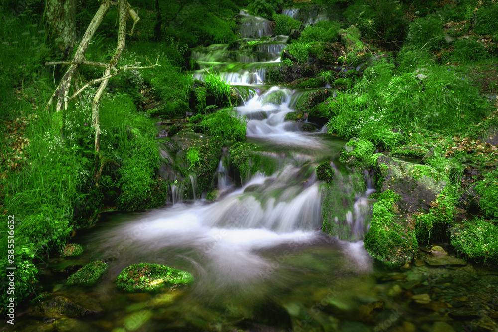 Nature wild waterfall