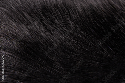 Texture beautiful black fluffy fox fur close-up. Black background