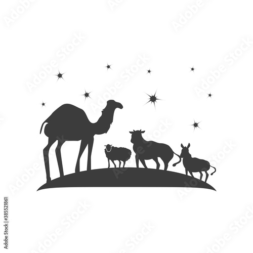 camel ox donkey and sheep animals night