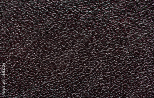 The texture of the skin is dark brown. Background