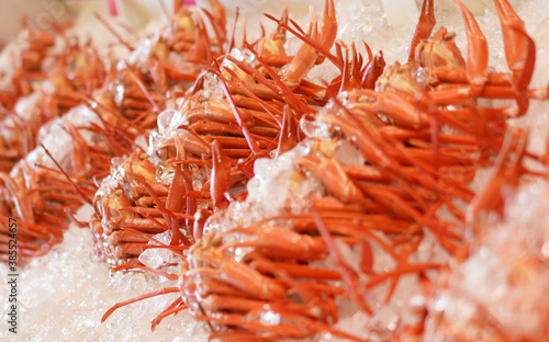 fresh King crab in fishing market / 蟹 © tokyo studio