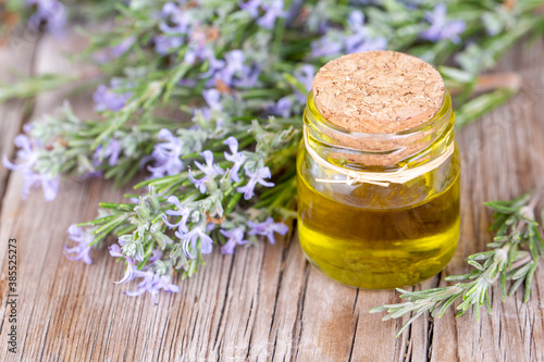 Fresh rosemary and rosemary essential oil