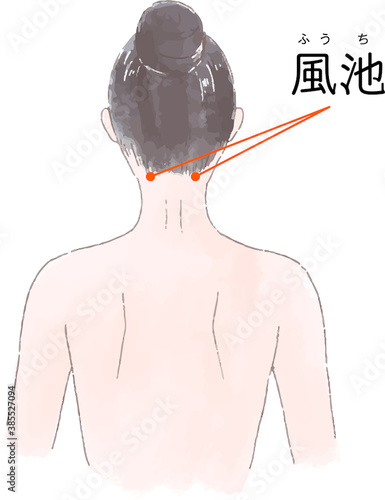 ツボ・経穴「風池」の手描き風イラスト