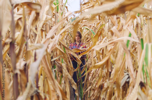 Young woman farmer with corn harvest. Worker holding autumn corncobs. Farming and gardening