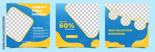Editable square social media background. Social media post template for pet care or pet shop photo collage. Perfect for social media post, story and web internet ads.