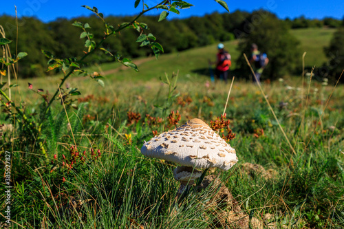 Tracking from Eleshnitsa to Murgash summit, Stara planina mountain, Bulgaria photo