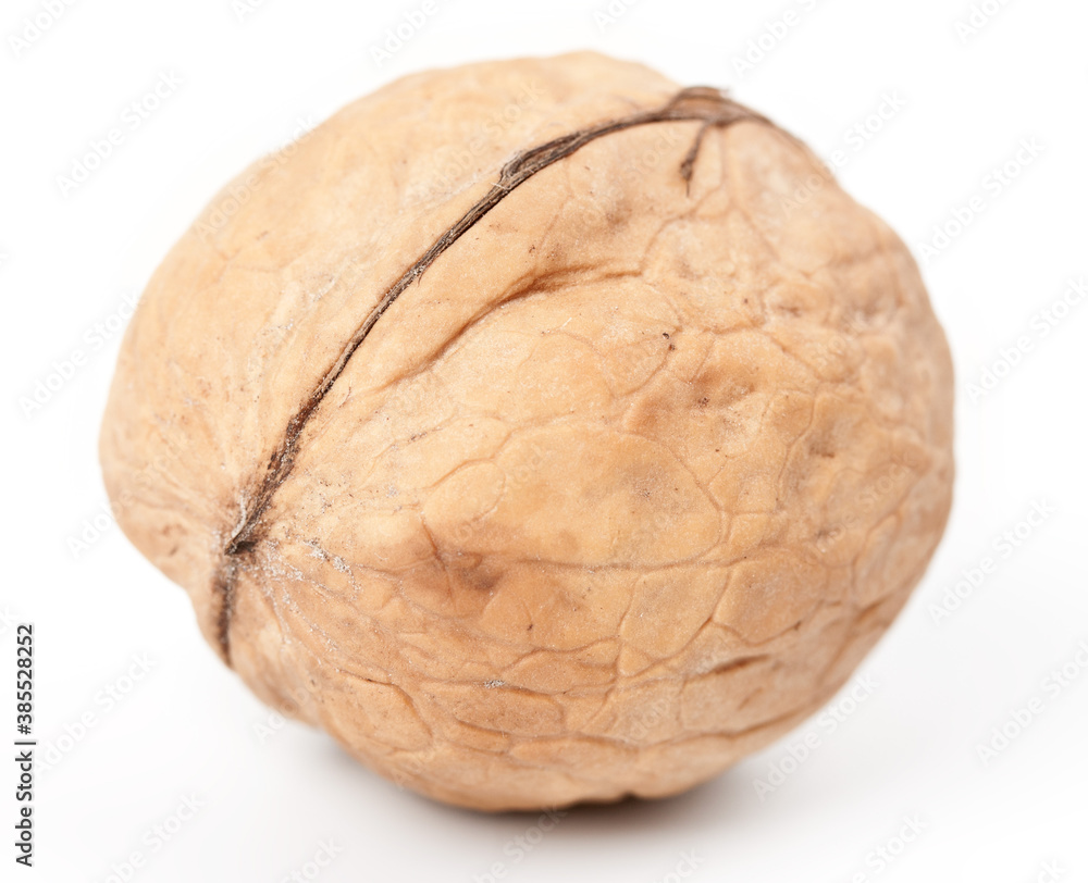 Walnut Walnut