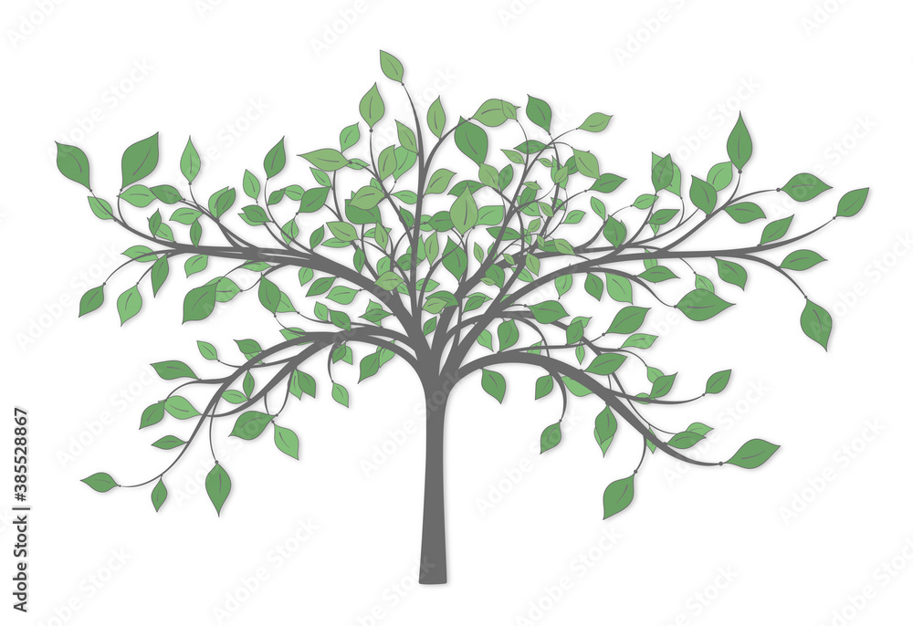 Drawing of a tree with branches and lots of green leaves of different sizes and tones on a white background Drawing of a tree with branches and lots of green leaves of different sizes and tones on a white background