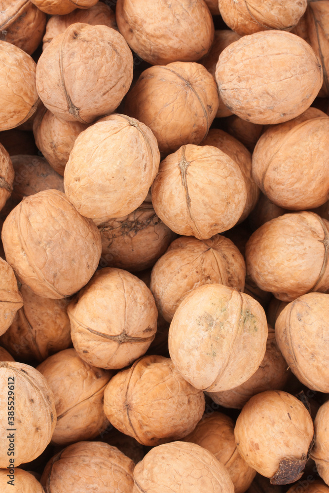whole walnuts whole walnuts