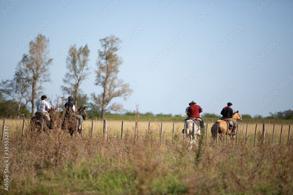 Hombres trabajando con ganado a caballo
