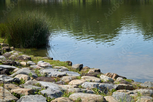 Rocks by the pond