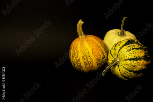 Three pumpkins isolated on a black background. It's Halloween time. Halloween mood. Minimal creative stillife