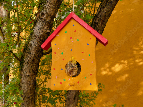 bird feeder in a tree © hjschneider