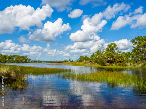 Webb Lale in the Fred C. Babcock/Cecil M. Webb Wildlife Management Area in Punta Gorda Florida USA