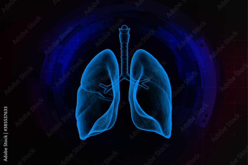 Healthy Human Lungs 2d illustration
Healthy Human Lungs 2d illustration