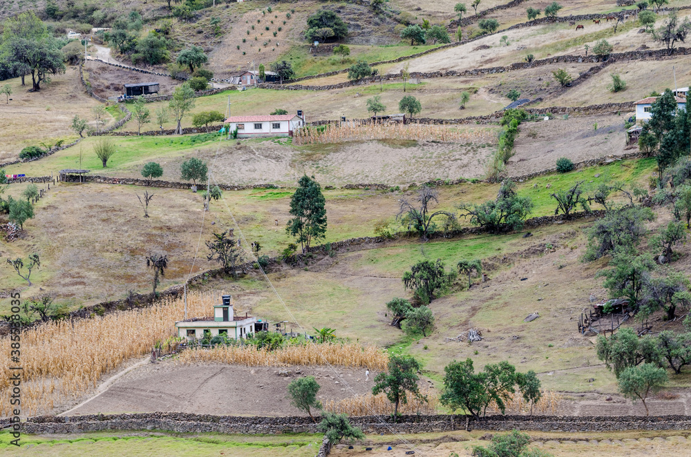 Fototapeta premium Camino de herradura