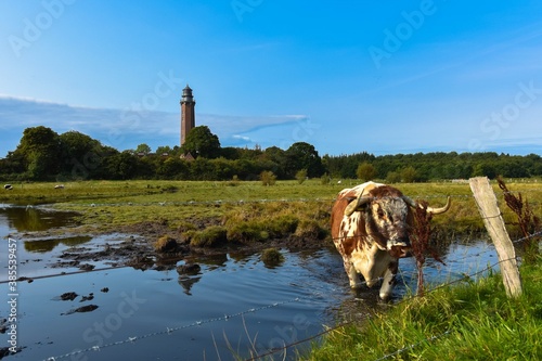 Leuchtturm Neuland in Behrensdorf an der Ostsee in Schleswig-Holstein photo