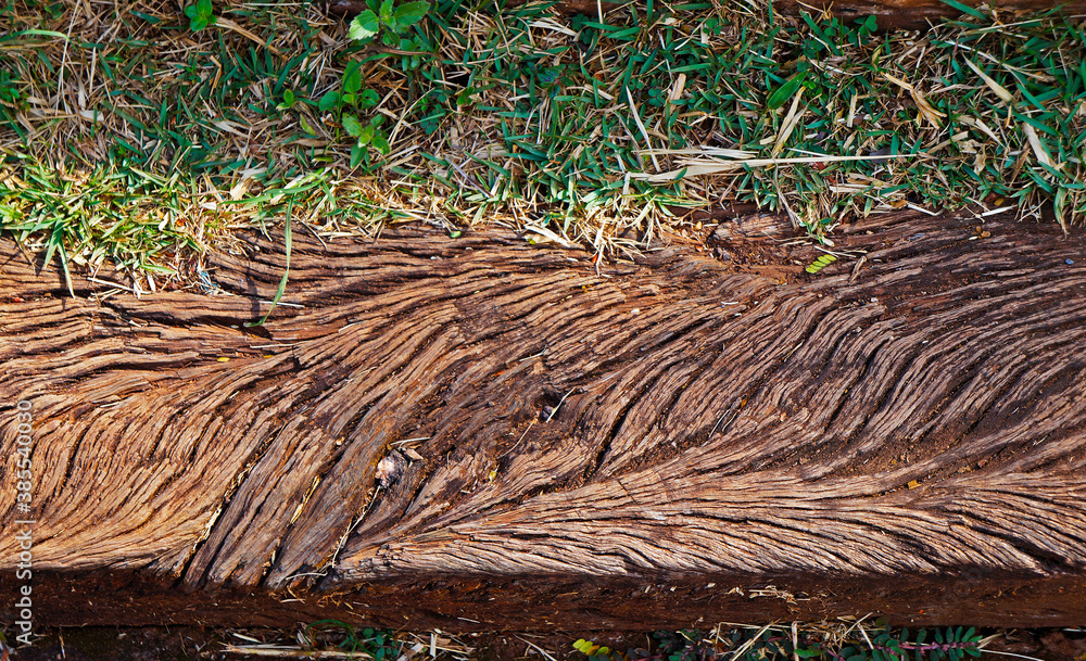 Wooden step in the park (detail), Belo Horizonte, Brazil Wooden step in the park (detail), Belo Horizonte, Brazil