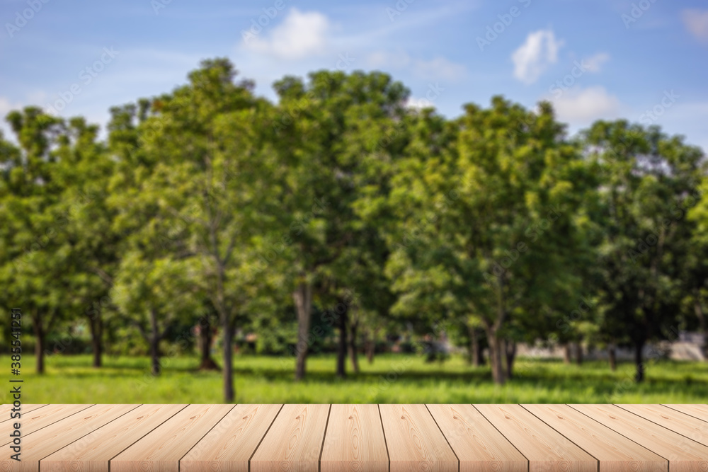 Empty wood plank table top with big trees, green grass, sky and clouds with blur background - For product display. Empty wood plank table top with big trees, green grass, sky and clouds with blur background - For product display.