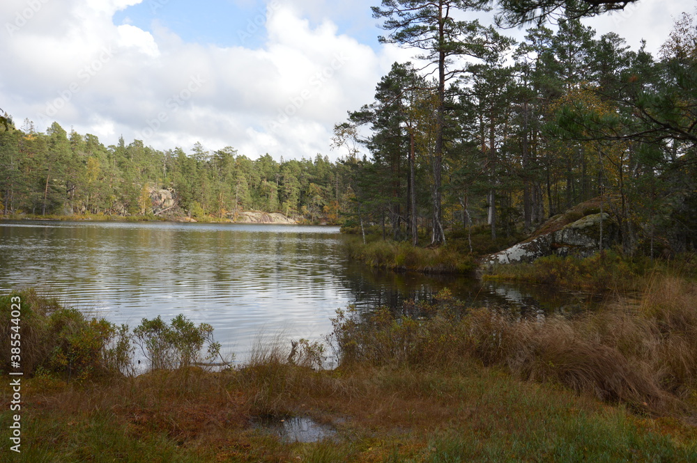 Obraz premium Schwedische Landschaft mit See