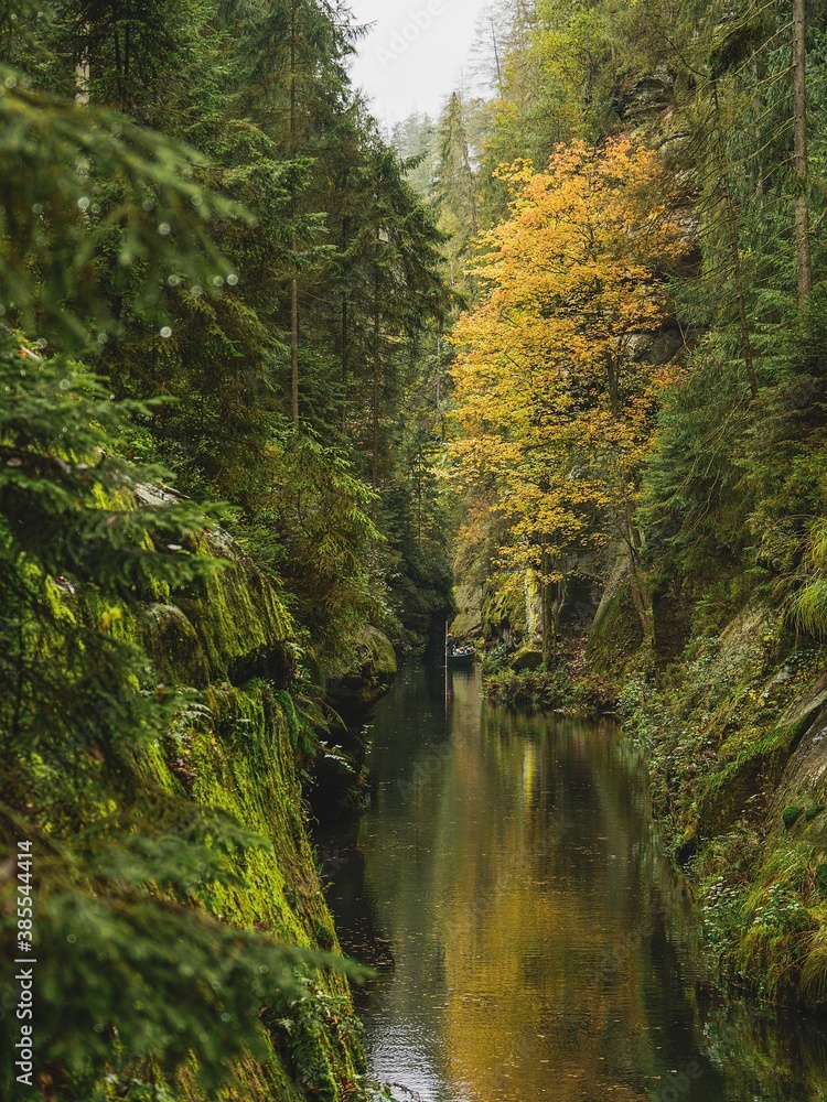 Obraz premium Narrow gorge of the river Kamenice, Bohemian Switzerland National Park, Czech Republic
