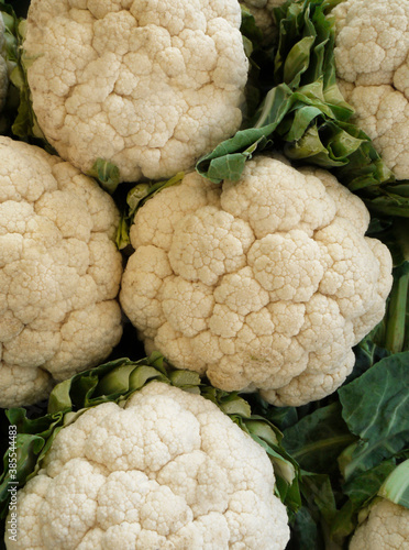 Fresh Cauliflowers for sale at the market