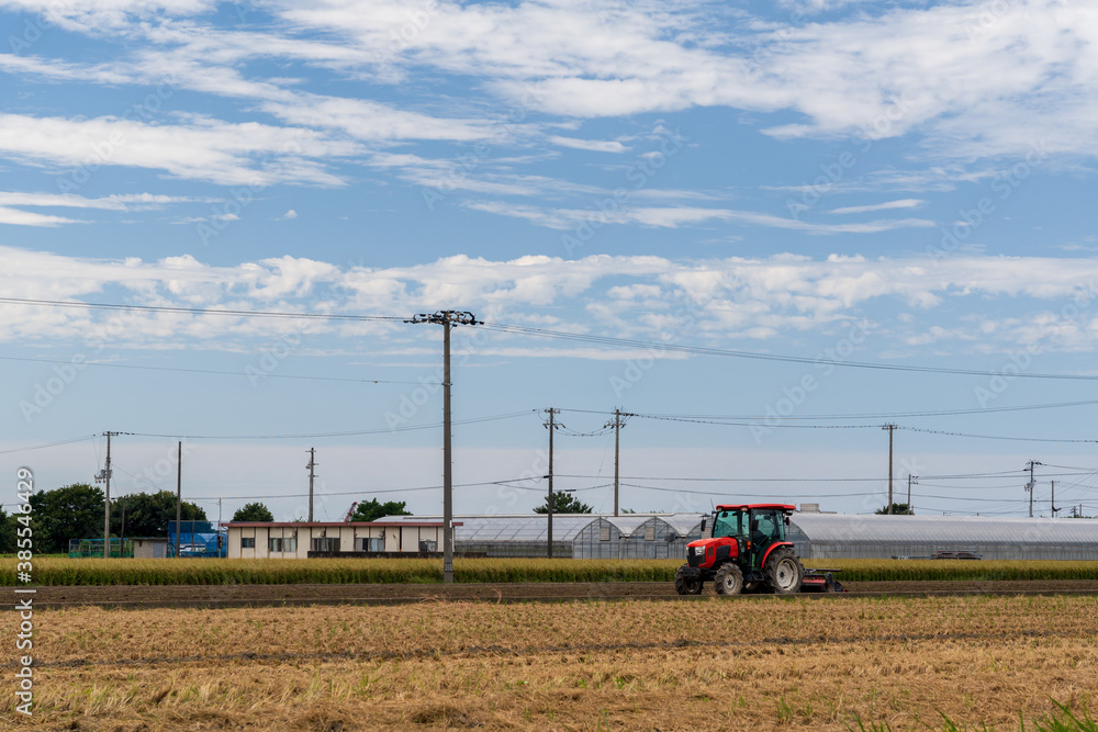 Fototapeta premium Photo of rice harvesting using a huge combine