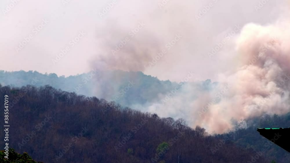 Big wildfires and smoke in mountain forests during drought. Deforestation and Climate crisis. Toxic haze from rainforest fires. Big wildfires and smoke in mountain forests during drought. Deforestation and Climate crisis. Toxic haze from rainforest fires.