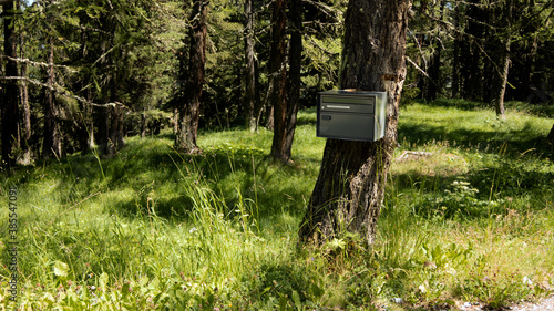Boîte postale en pleine forêt 