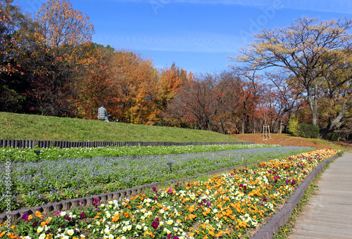 紅葉の長居植物園 photo