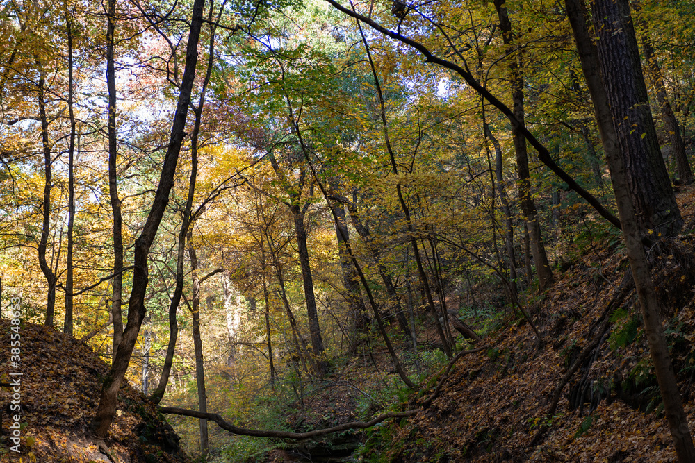 Autumn in Starved Rock State Park, a wilderness area on the Illinois River in the U.S. state of Illinois. Back to Nature concept. Autumn in Starved Rock State Park, a wilderness area on the Illinois River in the U.S. state of Illinois. Back to Nature concept.