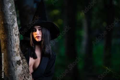 Fototapeta Portrait of beautiful asian sexy woman wear black witch costume with broom,Hallo