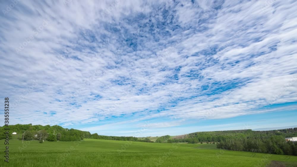 White clouds on blue sky over green field of days time lapse White clouds on blue sky over green field of days time lapse