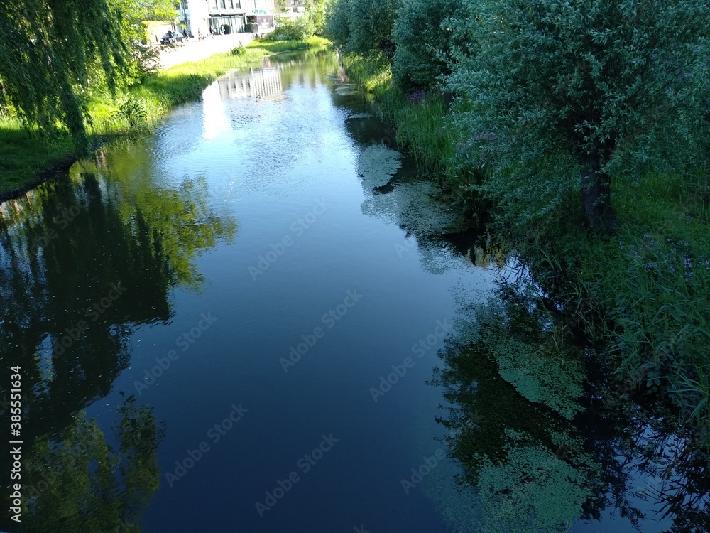 Reflections of trees on a river on a sunny day Reflections of trees on a river on a sunny day