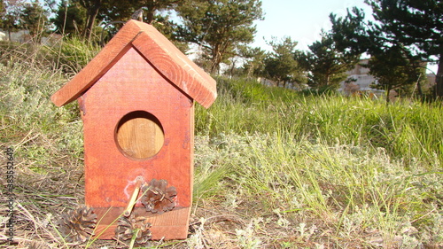 Bird house
Bird house, Birdhouse
Sparrow's house on land in the park.
Birds, animal, animals, wildlife, wild nature, garden photo