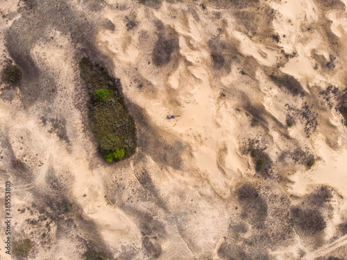 Aerial Drone Shot in The largest desert in Europe, Ukraine - Oleshky Sands with Some bushes and Pine trees. Plants in the desert, a lot of yellow sand photo