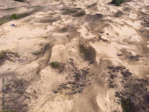 Aerial Drone Shot in The largest desert in Europe, Ukraine - Oleshky Sands with Some bushes and Pine trees. Plants in the desert, a lot of yellow sand