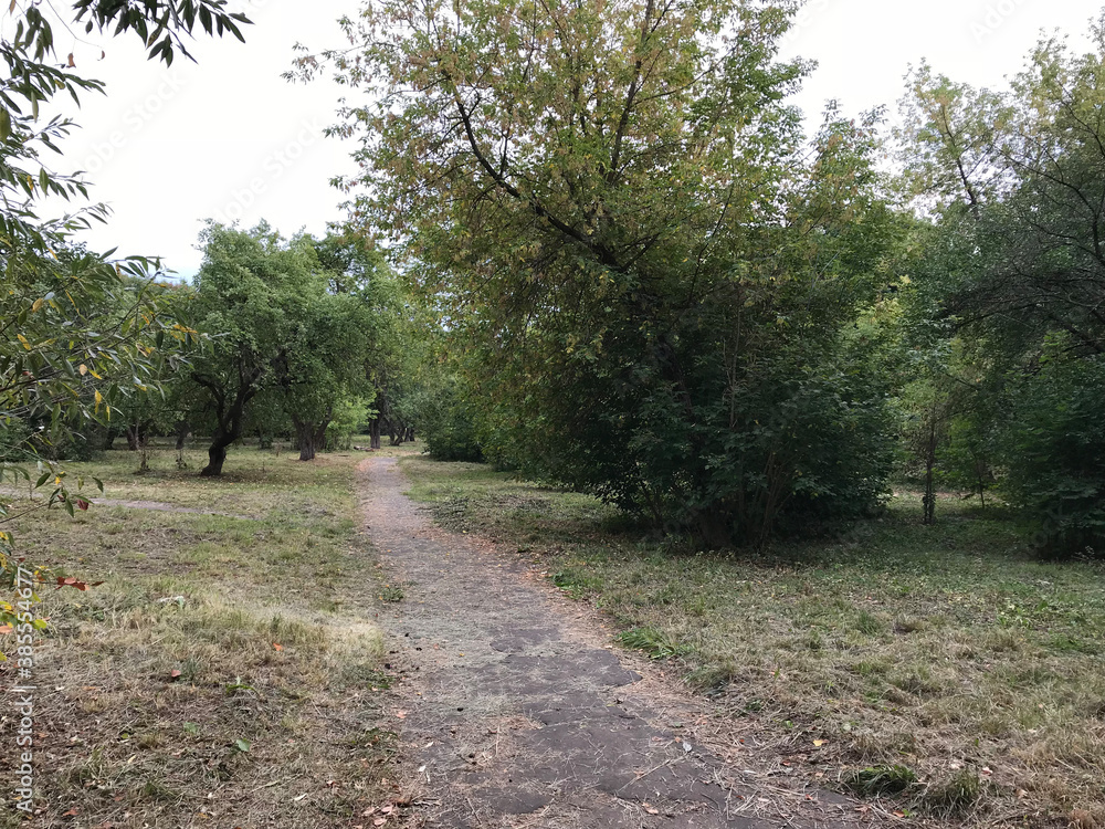 path in the park path in the park