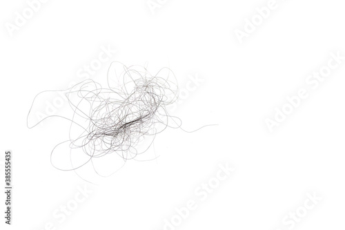 Hair loss, hair loss every day, serious problems and hair loss on a white background.