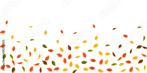 Falling autumn leaves. Red, yellow, green, brown r