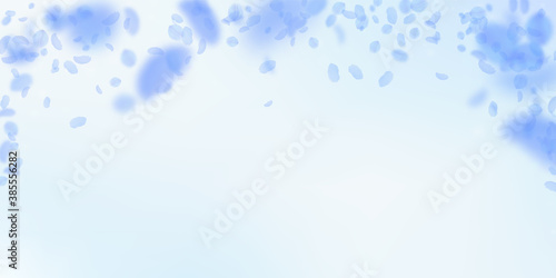 Dark blue flower petals falling down. Trending rom