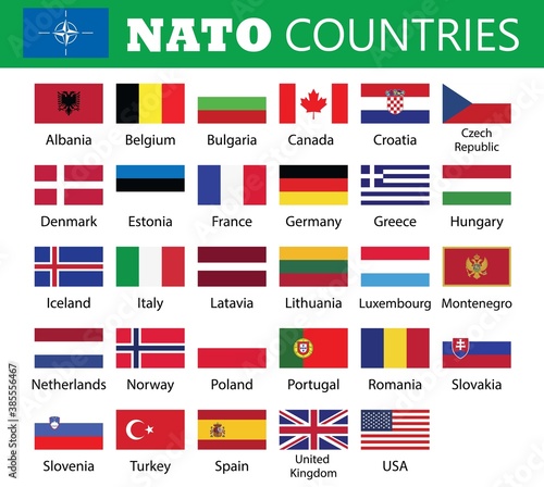 NATO Member Countries Flags.NATO Member Countries Flags drawing by illustration.USA,UK,Canada with 29 countries flags