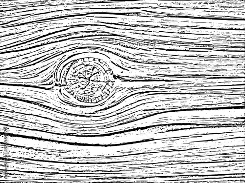 Fragment of an old tree with a knot ,invoice of wood.